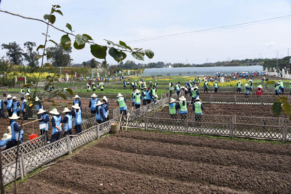 參觀津地禾教學(xué)點(diǎn)。江津區(qū)教委供圖