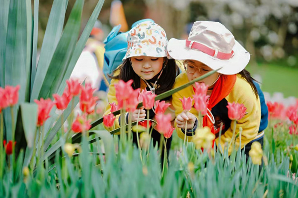 植物研究。人民（融僑）小學(xué)供圖