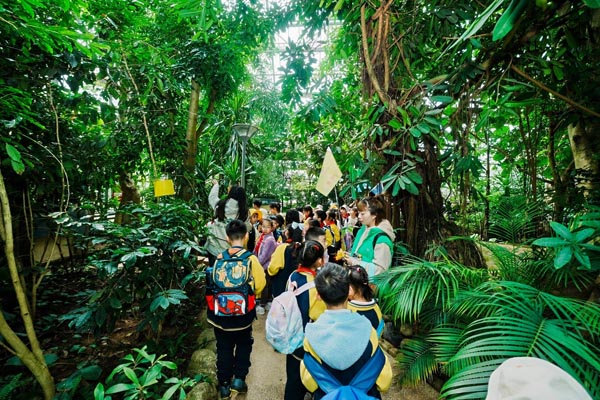 跨學(xué)科課程。人民（融僑）小學(xué)供圖