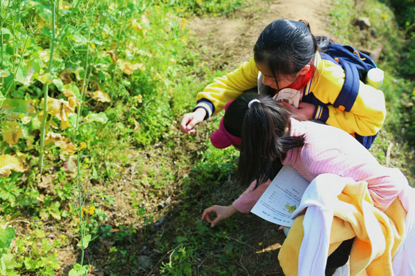 跨學(xué)科課程。人民（融僑）小學(xué)供圖