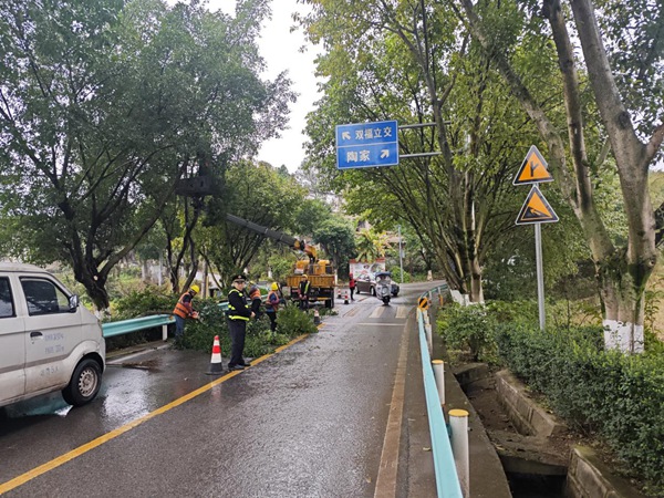 當(dāng)?shù)貙?duì)縣道X702觀玉路沿線茂盛的行道樹(shù)進(jìn)行修剪。九龍坡區(qū)交通運(yùn)輸委員會(huì)供圖