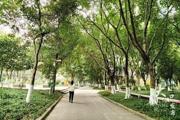 天辰美苑小區(qū)。大渡口發(fā)布供圖