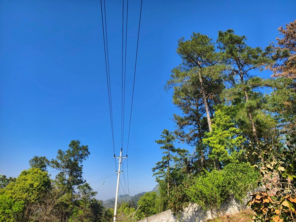 清理后的線路通道干凈清爽。國網(wǎng)重慶永川供電公司供圖