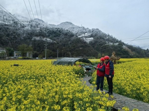 3月28日，國(guó)家電網(wǎng)重慶電力（城口營(yíng)銷）紅巖共產(chǎn)黨服務(wù)隊(duì)隊(duì)員劉陽(yáng)、王征在枇杷村了解春耕春種情況，排查線路設(shè)備隱患。陳鑒森攝