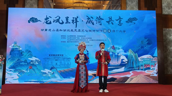 推介活動現(xiàn)場。主辦方供圖