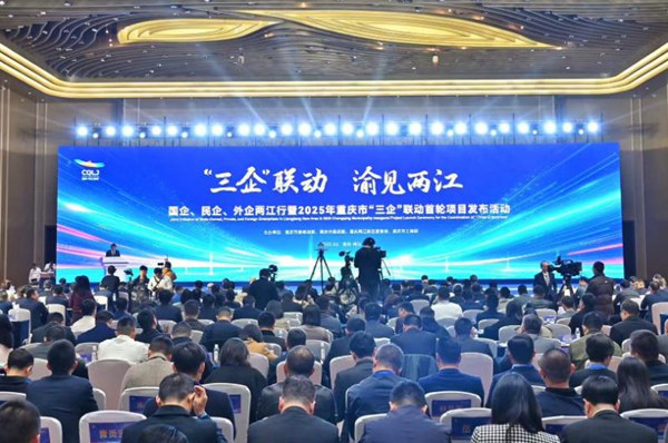 活動現(xiàn)場。活動主辦方供圖