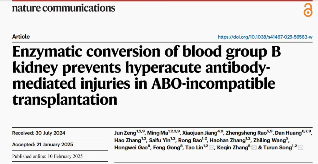 論文截圖。 重醫(yī)附二院供圖