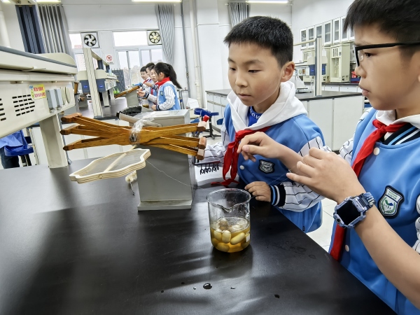 孩子們體驗傳統(tǒng)繅絲機抽取蠶絲。江北巴川量子學校供圖