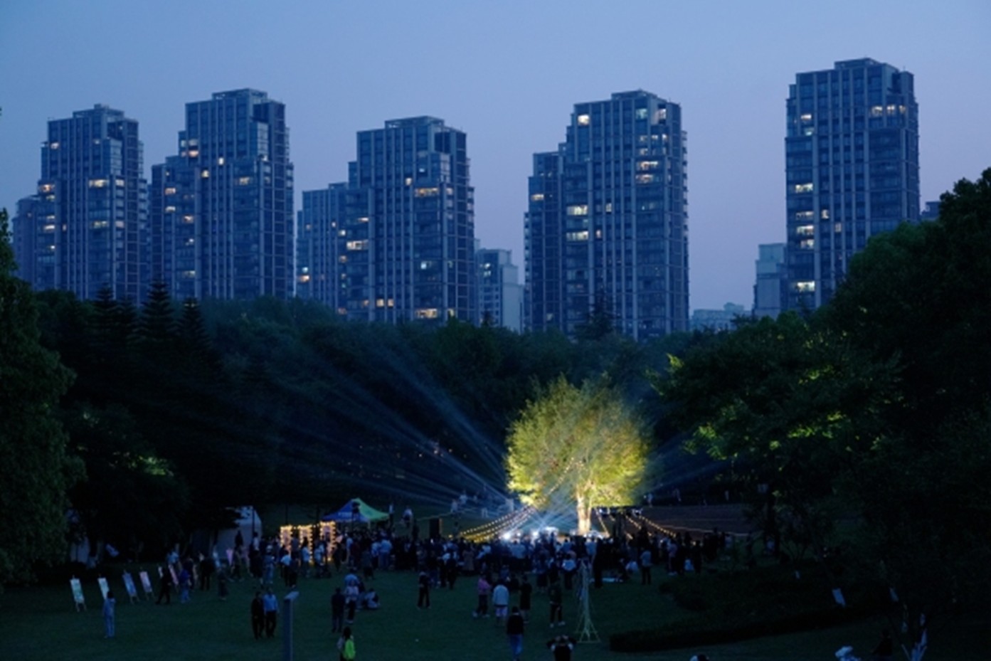 中央公園草坪被星光與燈光點亮。渝北區(qū)文化旅游委供圖