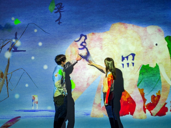 展出場景。主辦方供圖