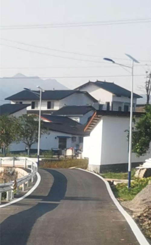沙灣村2社新安裝好的太陽能路燈。洛磧鎮(zhèn)供圖