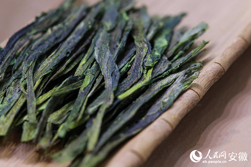 中國十大名茶——太平猴魁。人民網(wǎng)記者 張俊攝