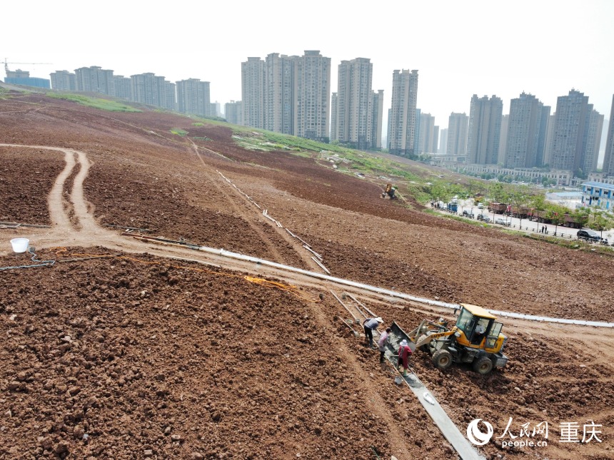 工人正在平整后的土地上修建簡易人行步道。人民網(wǎng)記者 劉政寧攝