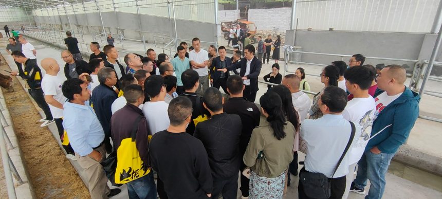 張林蔥進行經(jīng)驗分享。受訪者供圖