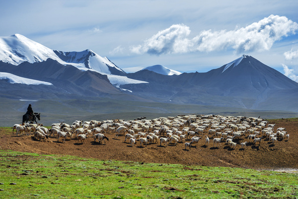 青?，斍叩拿利愶L(fēng)光。才讓當(dāng)周攝
