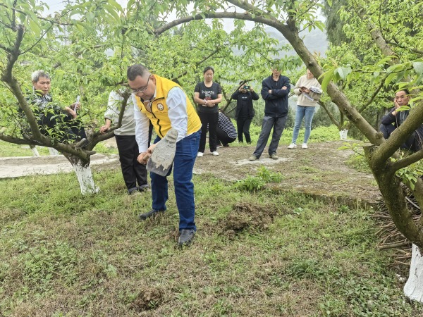 邀請科技特派員開展果樹管理技術(shù)現(xiàn)場培訓(xùn) 。高美清 攝