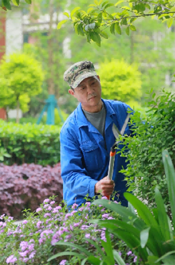 招商社區(qū)植被修剪與補栽。招商積余重慶公司供圖
