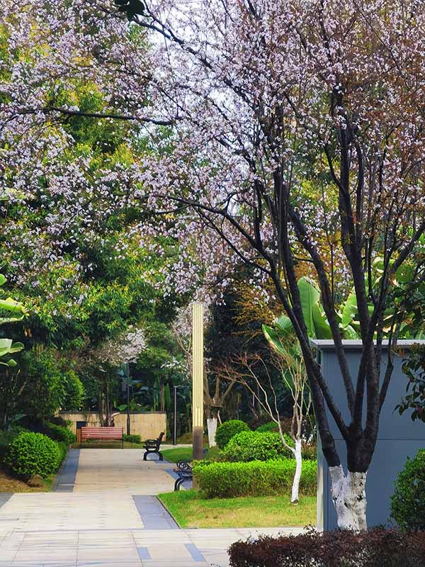 招商社區(qū)春日美景。招商積余重慶公司供圖