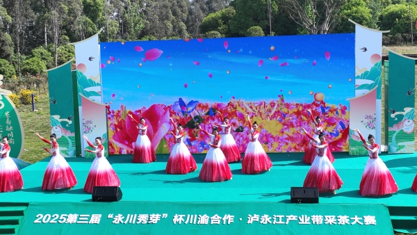 活動現(xiàn)場。陳仕川攝