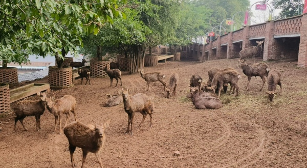 佰鹿園永川基地。受訪者供圖