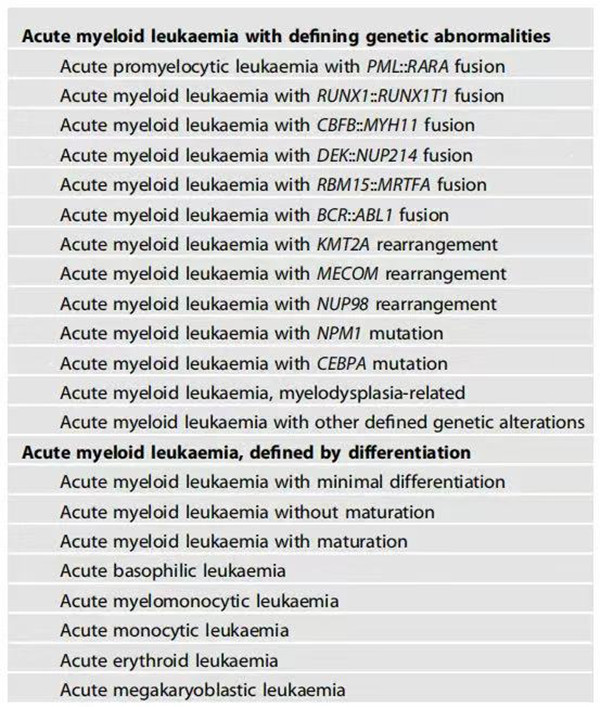 21個亞型示意圖。重慶松山醫(yī)院供圖