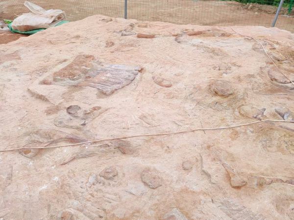 黔江恐龍化石發(fā)掘點位之一。任峰攝