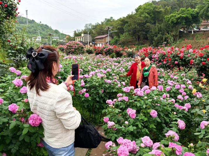 游客置身花海，拍照記錄。徐雯瑄攝