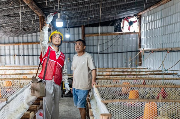 電力人員對(duì)鵝企開(kāi)展安全用電檢查。國(guó)網(wǎng)永川供電公司供圖