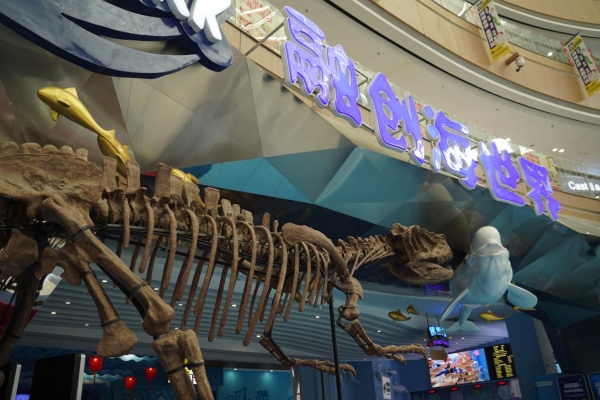 活動(dòng)現(xiàn)場(chǎng)。融創(chuàng)文旅城供圖