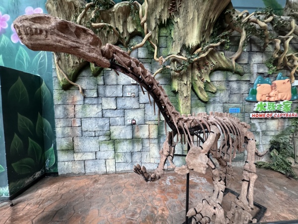 活動(dòng)現(xiàn)場(chǎng)。融創(chuàng)文旅城供圖