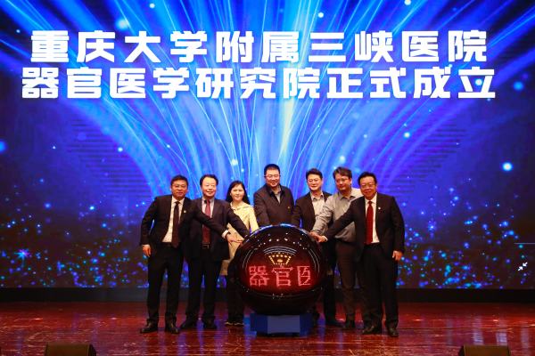 論壇現(xiàn)場?；顒又鬓k方供圖