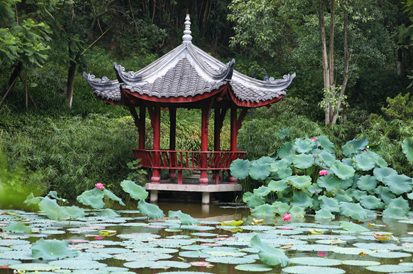 荷香亭韻，校園里的生態(tài)雅境。重慶理工大學(xué)供圖