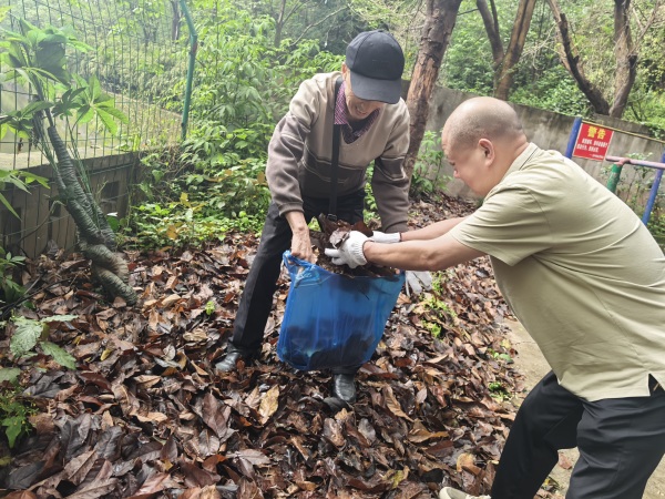 志愿者在盤溪河清掃落葉。龍山街道供圖
