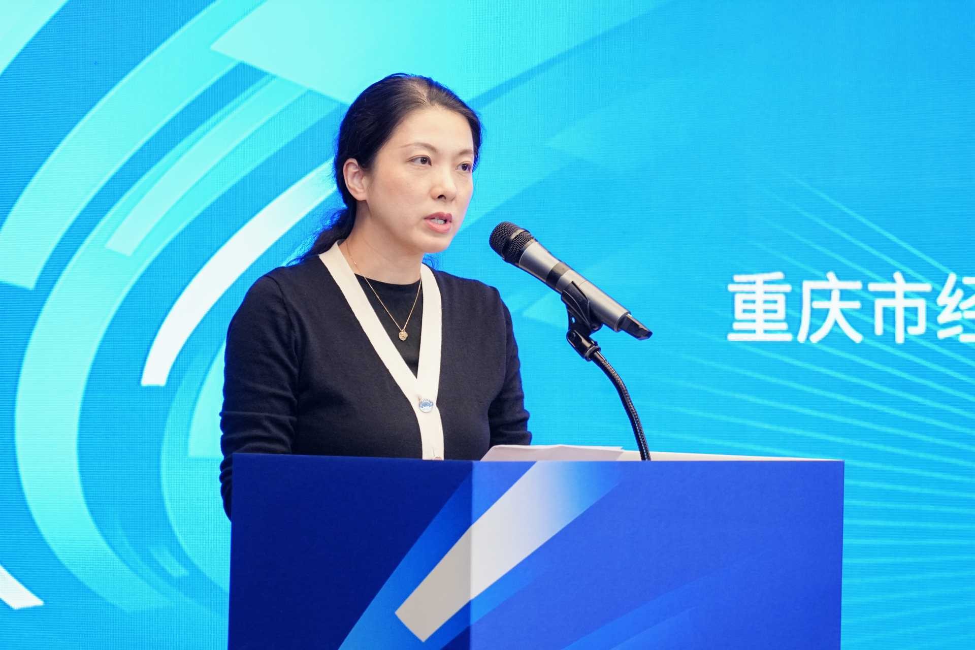 重慶市經(jīng)濟信息委融資服務(wù)處副處長丁林毅致辭。重慶股份轉(zhuǎn)讓中心供圖