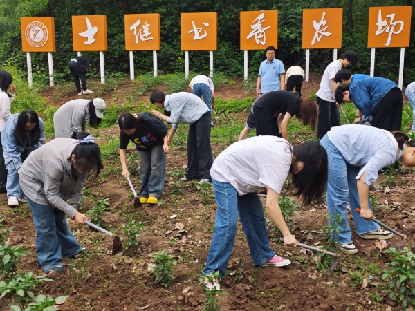 理學院師生在農(nóng)場勞作。重慶理工大學供圖