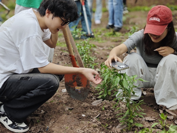 理學院學生利用手機軟件測量種苗高度。重慶理工大學供圖