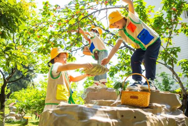 孩子們身著校服體驗采摘樂趣。受訪單位供圖