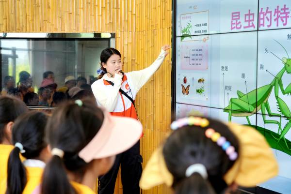 講解員為小朋友科普昆蟲(chóng)知識(shí)。璧山區(qū)委宣傳部供圖