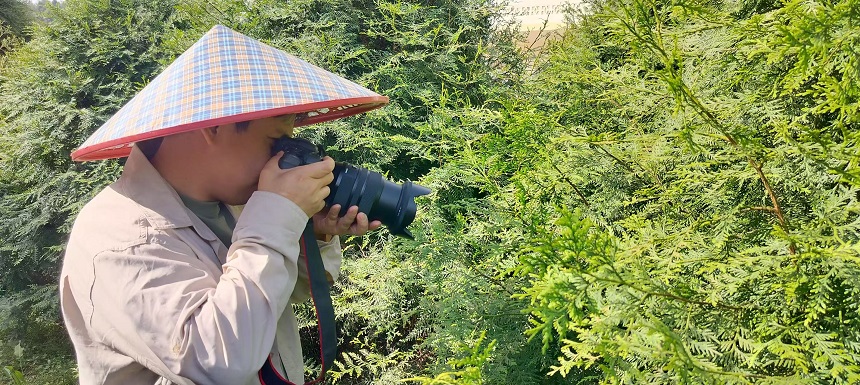 蔡松余拍照記錄崖柏生長情況。周小平攝