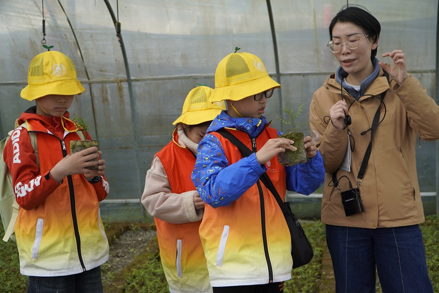 周李萍為小學(xué)生們講述崖柏的“重生”故事。受訪者供圖