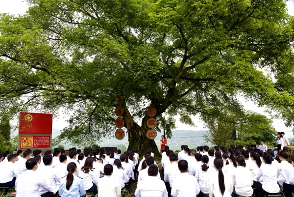 “青馬工程”學(xué)員聆聽革命故事。張靜 攝