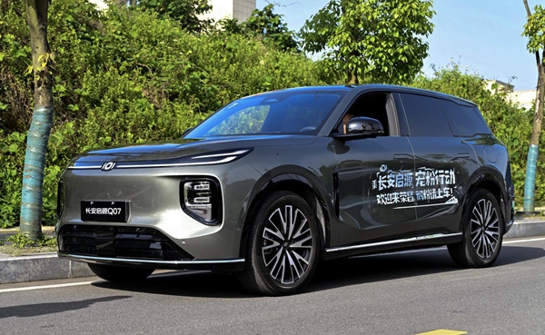 Q07組成的“寵粉車隊”。受訪單位供圖