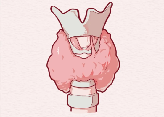 示意圖。重慶松山醫(yī)院供圖