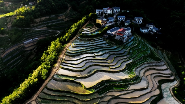 高觀鎮(zhèn)田園風(fēng)光。受訪者供圖