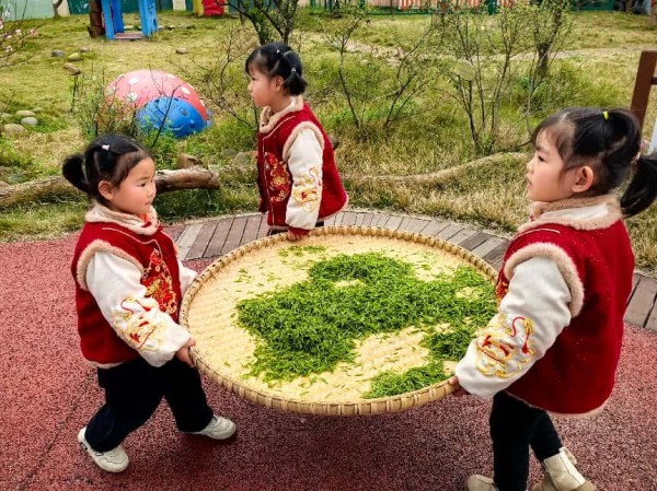 中班幼兒體驗(yàn)制茶。三官殿幼兒園供圖