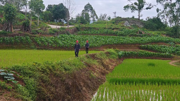 馮師傅和同事在“合北線”巡查燃?xì)夤艿?。重慶燃?xì)饧瘓F(tuán)供圖