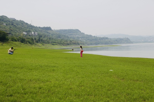 游客在消落帶草地上游玩。景區(qū)供圖