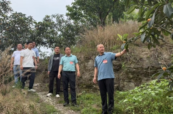 調(diào)研組一行來到土地垴村實地調(diào)研。劉欣攝