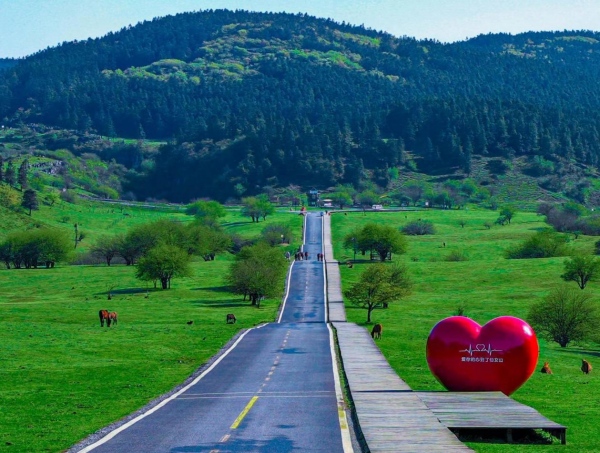 仙女山。武隆區(qū)委宣傳部供圖