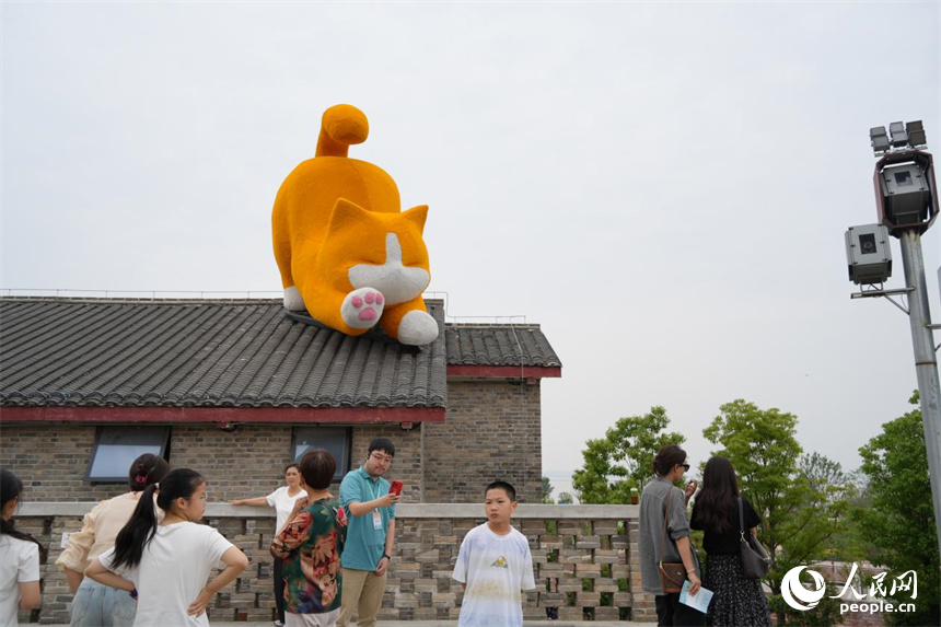 橘貓趴在屋頂憨態(tài)可掬。人民網(wǎng) 劉汕攝